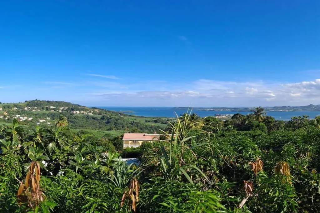 Villa Zowanj 1 - Logement Avec Vue Panoramique Le Robert