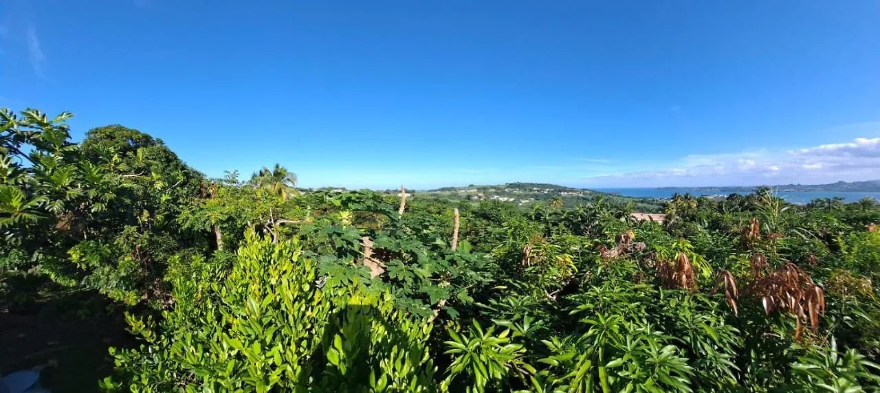 Zowanj 1 - Logement Avec Vue Panoramique Le Robert 0*,